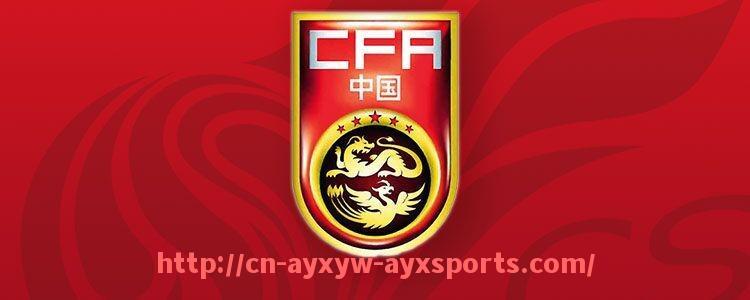 爱游戏体育-火箭队2015年赛季阵容及球队表现盘点